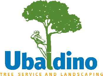 Ubaldino Tree Service